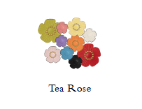 Tea Roses